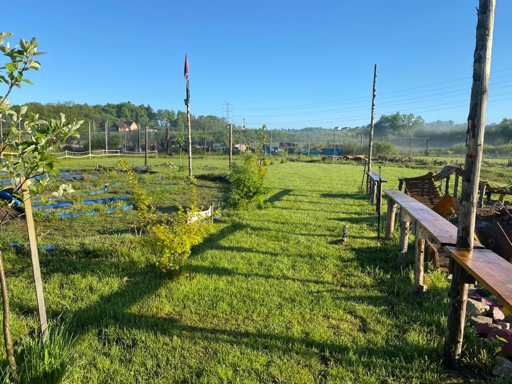 Urodziny dla młodzieży